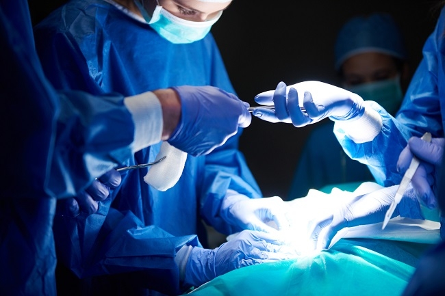 Los hospitales públicos de las Illes Balears han recibido 23 donaciones y se han trasplantado 48 órganos durante 2024