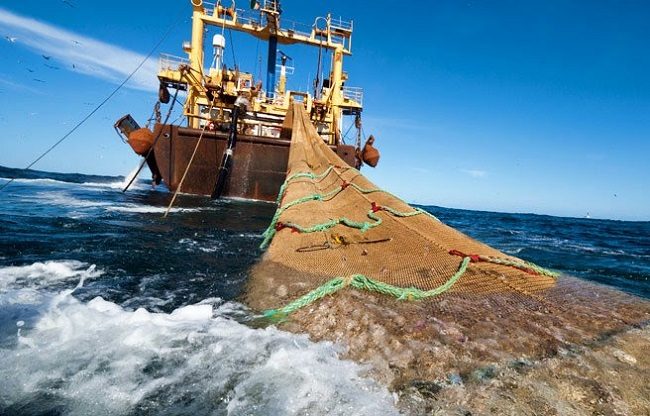 La pesca de arrastre en áreas marinas protegidas españolas acumula 460.000 horas en nueve años