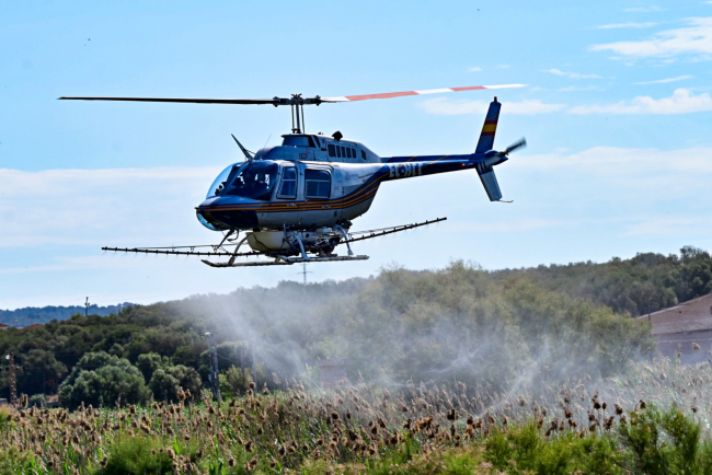 El Ajuntament de Palma controla la población de mosquitos con tratamientos aéreos