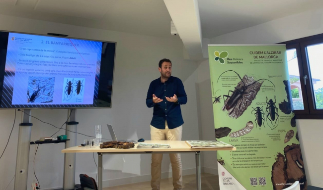 Medio Natural realiza charlas informativas en colegios y ayuntamientos de Mallorca para explicar las actuaciones de control del gran capricornio de la encina
